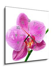 Obraz s hodinami 1D - 50 x 50 cm F_F23735286 - orqudea
