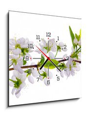 Obraz s hodinami 1D - 50 x 50 cm F_F24127573 - white cherry blossom close-up