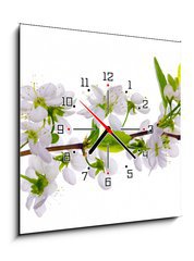 Obraz s hodinami   white cherry blossom close up, 50 x 50 cm
