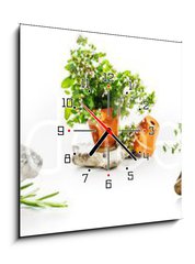 Obraz s hodinami 1D - 50 x 50 cm F_F247543142 - Marjoram, oregano, rosemary garden herbs set - Majoránka, oregano, rozmarýnové zahradní byliny