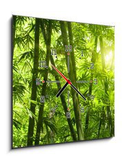 Obraz s hodinami   Bamboo forest., 50 x 50 cm