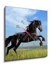 Obraz s hodinami 1D - 50 x 50 cm F_F26473191 - beautiful black horse playing on the field