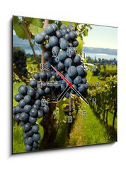 Obraz s hodinami   ripe Purple Grapes, 50 x 50 cm