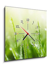 Obraz s hodinami 1D - 50 x 50 cm F_F265607915 - Juicy lush green grass on meadow with drops of water dew in morning light in spring summer outdoors close-up macro, panorama. Beautiful artistic image of purity and freshness of nature, copy space. - Šťavnatá svěží zelená tráva na louce s kapkami rosy v ranním světle v jarním létě venku zavřít