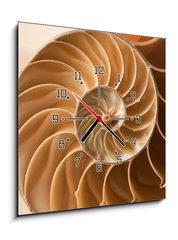 Obraz s hodinami 1D - 50 x 50 cm F_F27136631 - close up nautilus shell pattern - zblzka nautilus shell vzor