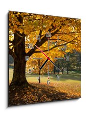 Obraz s hodinami   Golden Fall Foliage Autumn Yellow Maple Tree on golf course, 50 x 50 cm