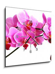 Obraz s hodinami   pink orchid, 50 x 50 cm