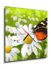 Obraz s hodinami   Schmetterling 104, 50 x 50 cm