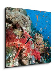 Obraz s hodinami 1D - 50 x 50 cm F_F29193498 - Marine life in the Red Sea. - Mosk ivot v Rudm moi.
