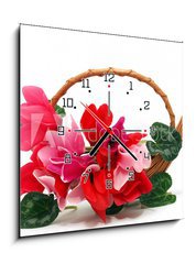 Obraz s hodinami   Colourful cyclamen flowers in the basket, 50 x 50 cm