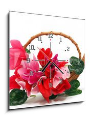 Obraz s hodinami 1D - 50 x 50 cm F_F29677121 - Colourful cyclamen flowers in the basket