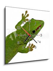 Obraz s hodinami 1D - 50 x 50 cm F_F3016112 - lezard vert