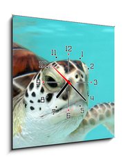 Obraz s hodinami 1D - 50 x 50 cm F_F3040978 - water turtle