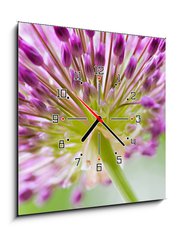 Obraz s hodinami 1D - 50 x 50 cm F_F30429573 - allium