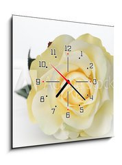 Obraz s hodinami 1D - 50 x 50 cm F_F30527713 - Single White Rose