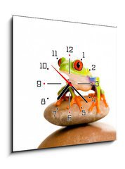 Obraz s hodinami 1D - 50 x 50 cm F_F30553672 - Red Eyed Tree Frog - Red Eyed Tree ba