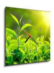 Obraz s hodinami 1D - 50 x 50 cm F_F30841113 - Tea bud and leaves