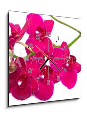 Obraz s hodinami 1D - 50 x 50 cm F_F30847359 - orchidea su sfondo bianco