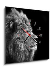 Obraz s hodinami 1D - 50 x 50 cm F_F31175850 - Stunning facial portrait of male lion on black background in bla - Ohromující obličej portrét lva na černém pozadí v bla