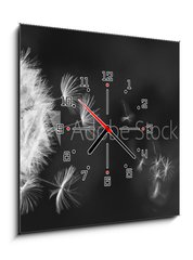 Obraz s hodinami 1D - 50 x 50 cm F_F317106413 - White dandelion on blue