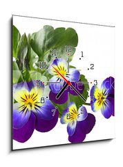 Obraz s hodinami 1D - 50 x 50 cm F_F31960415 - Pansy