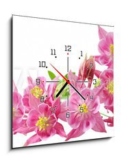 Obraz s hodinami   Aquilegia Vulgaris Columbine, 50 x 50 cm