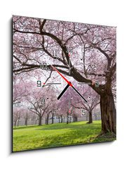 Obraz s hodinami   Sakura, 50 x 50 cm