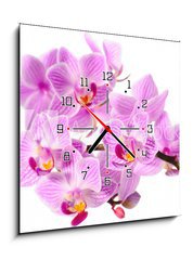 Obraz s hodinami 1D - 50 x 50 cm F_F34344158 - red orchid - erven orchidej