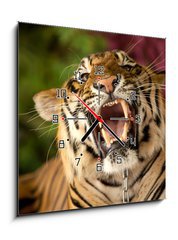 Obraz s hodinami 1D - 50 x 50 cm F_F35010447 - The tiger growls