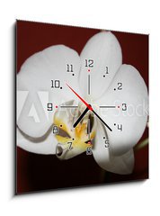 Obraz s hodinami 1D - 50 x 50 cm F_F3521109 - orchidee