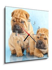 Obraz s hodinami   Sharpei in front of a white background, 50 x 50 cm