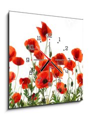 Obraz s hodinami 1D - 50 x 50 cm F_F357867320 - Beautiful red poppy flowers on white background. Banner design