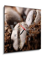 Obraz s hodinami 1D - 50 x 50 cm F_F35910568 - kawa