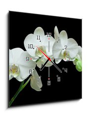 Obraz s hodinami 1D - 50 x 50 cm F_F36934594 - White orchid on black background