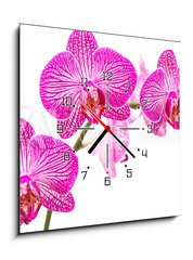 Obraz s hodinami 1D - 50 x 50 cm F_F37898338 - Tralcio di orchidea