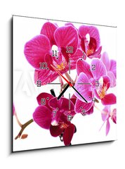 Obraz s hodinami 1D - 50 x 50 cm F_F37945049 - Mini Orchidée sur fond blanc - Mini orchidej sur fond blanc