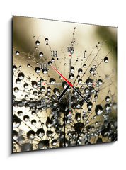 Obraz s hodinami 1D - 50 x 50 cm F_F3821310 - wet dandelion seed