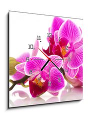 Obraz s hodinami 1D - 50 x 50 cm F_F38877808 - Tropical pink orchid