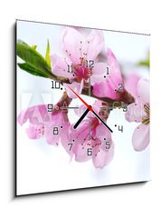Obraz s hodinami 1D - 50 x 50 cm F_F39835010 - pink blossoms