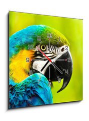 Obraz s hodinami 1D - 50 x 50 cm F_F40257884 - Exotic colorful African macaw parrot - Exotick barevn africk papouek papouek