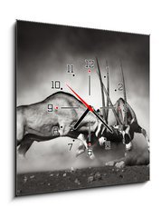 Obraz s hodinami   Gemsbok fight, 50 x 50 cm