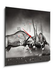 Obraz s hodinami 1D - 50 x 50 cm F_F40410948 - Gemsbok fight - Gemsbok bojovat