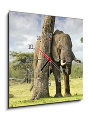 Obraz s hodinami   African elephants, 50 x 50 cm