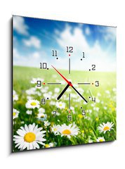 Obraz s hodinami 1D - 50 x 50 cm F_F40565280 - field of daisy flowers - pole sedmikrásky