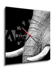 Obraz s hodinami 1D - 50 x 50 cm F_F41216080 - African Elephant Close Up