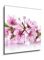 Obraz s hodinami 1D - 50 x 50 cm F_F41227262 - beautiful pink peach blossom isolated on white - krásná růžová broskvový květ izolovaných na bílém