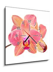 Obraz s hodinami 1D - 50 x 50 cm F_F41466229 - Pink orchid