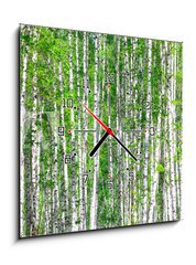 Obraz s hodinami 1D - 50 x 50 cm F_F41678532 - Birch forest. May - Birch les. Smět