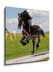 Obraz s hodinami 1D - 50 x 50 cm F_F41915305 - Friese - Friesian