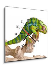 Obraz s hodinami 1D - 50 x 50 cm F_F41961007 - Colorful chameleon (5) - Barevný chameleon (5)